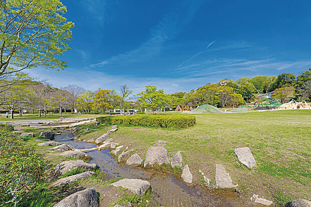 21世紀の森と広場（現地より徒歩19分）