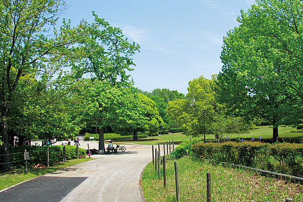 柏の葉公園（現地より徒歩23分）