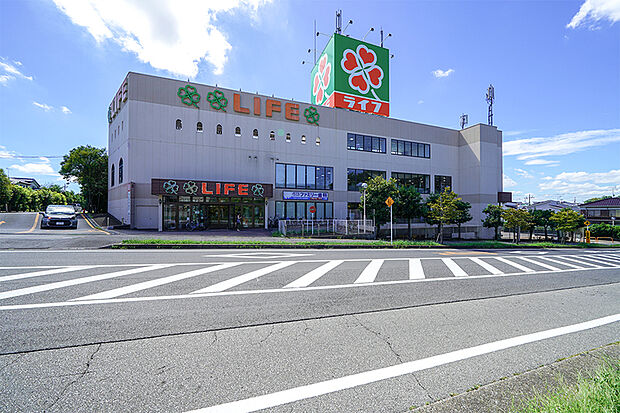 ライフ増尾店（現地より徒歩6分）