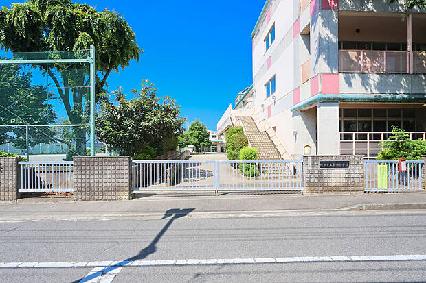 和田小学校(現地より徒歩8分)