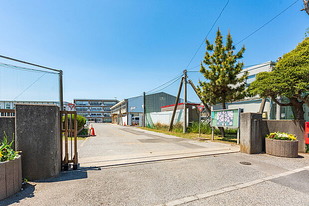柏市立西原小学校（現地より徒歩7分）