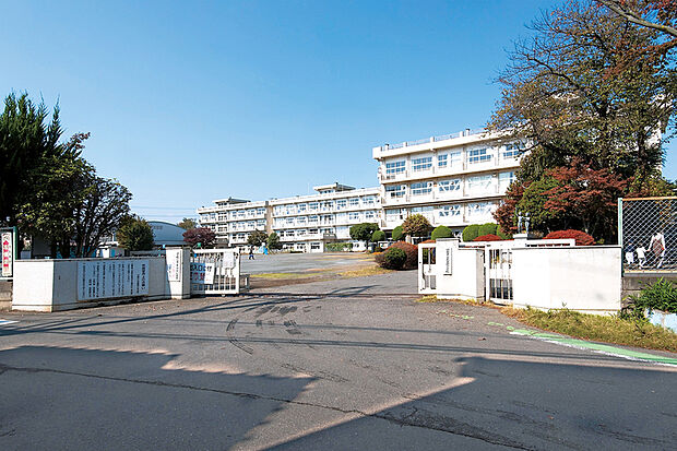 武蔵野小学校（現地より徒歩12分）