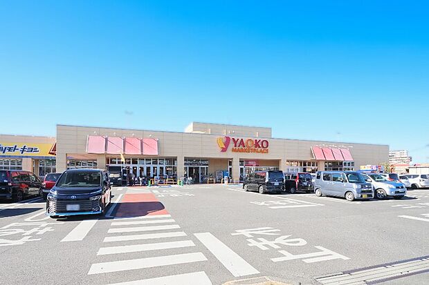 ヤオコー川口朝日店/マツモトキヨシ川口朝日店（現地より徒歩1