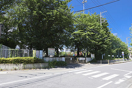 第十小学校（現地より徒歩4分） 約250m