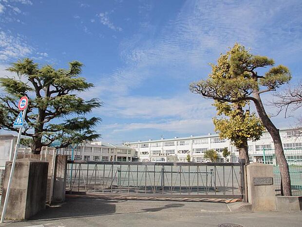 松林小学校（約180m）