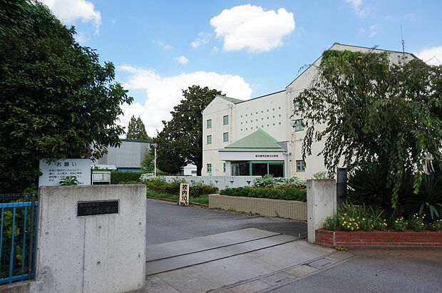 桜川小学校（現地より徒歩12分）