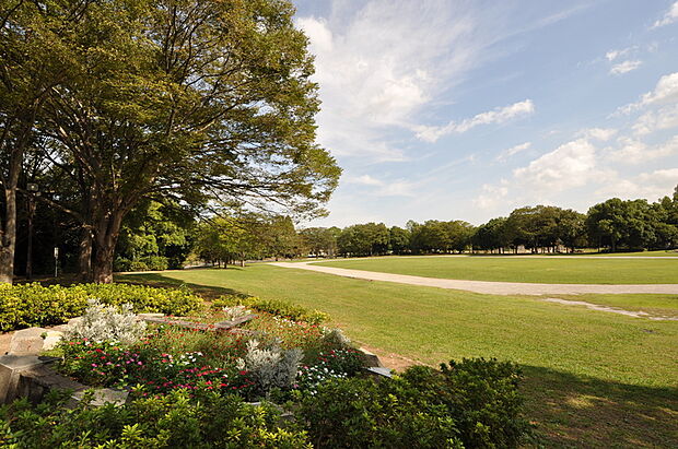 レジデンシャルパークSHOWA(庄和総合公園)（現地より徒歩