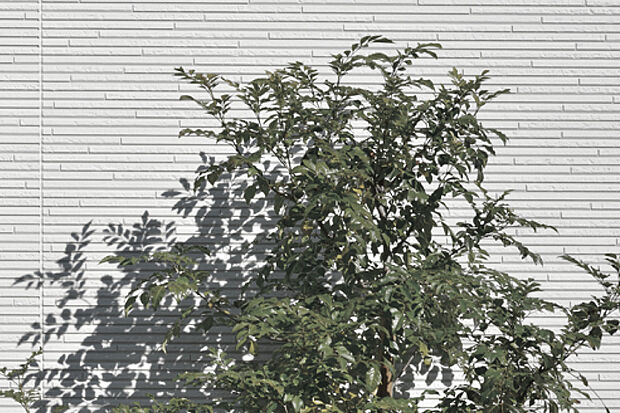 【【シンボルツリー】】外観の象徴ともなるシンボルツリーを植樹しています。年月と共に家族が成長し、家も味わいを増していく中で、木々も一緒に成長する楽しみがあります。※写真はイメージです。