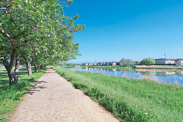 大落古利根川緑道（現地より徒歩10分）