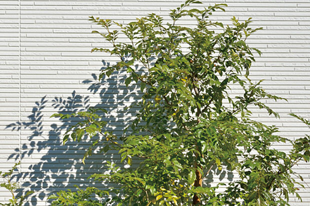 【【彩り豊かな植栽】】街並みに潤いと日々の暮らしに癒やしを与えてくれる植栽を配しました。自然の息吹や季節の移ろいを感じられ、心豊かな暮らしが叶います。※写真はイメージです。