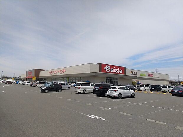 ベイシア 古河総和店（約500m）