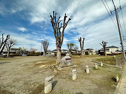 中央公園 1400m(徒歩18分)