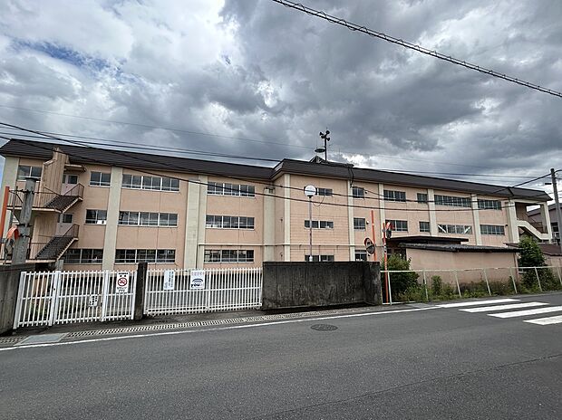 佐野市立田沼小学校（約950m）