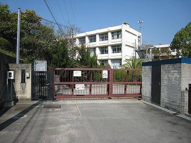 羽曳野市立峰塚中学校(約800m)