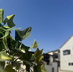 南海高野線「沢ノ町」駅 徒歩4分