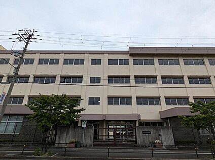 久宝寺中学校 約1100m(徒歩14分)
