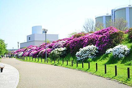 浅香山公園 約800m(徒歩10分)