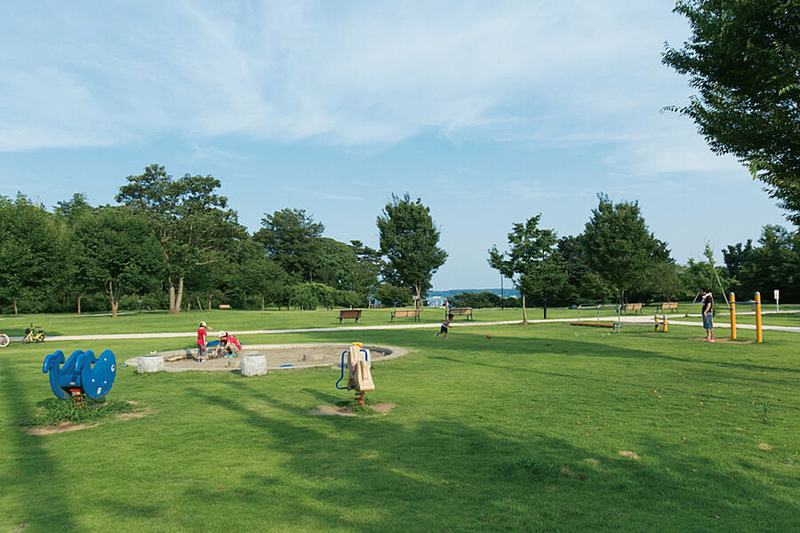 【高野山桃山公園/2030m】