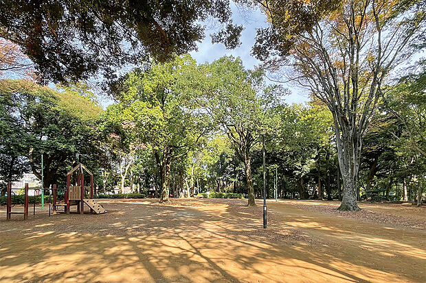 日立台公園（現地より徒歩14分）