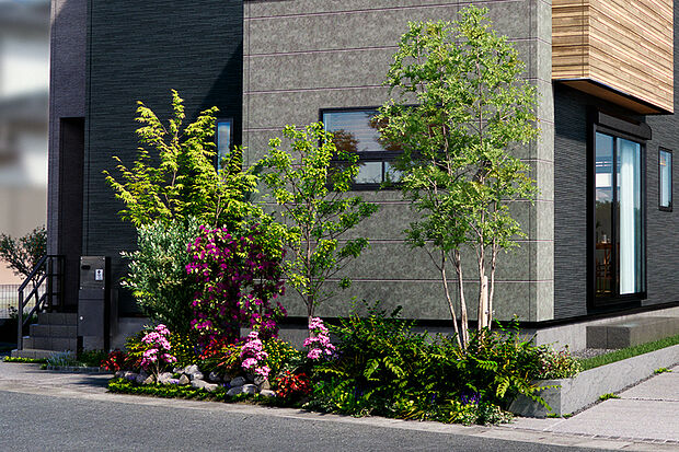 【【四季のうつろい映す植栽計画】】シンボルツリーのシマトネリコをはじめ、多彩な樹々が季節の移ろいを映し出します。※「景観木」「生垣」の採用は号棟により異なります。※「果樹」は各住戸にいずれか1本または2本となります。