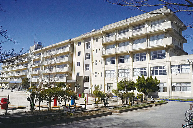 松戸市立横須賀小学校（現地より徒歩8分）