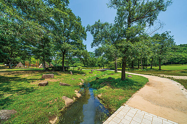 21世紀の森と広場（現地より徒歩22分）