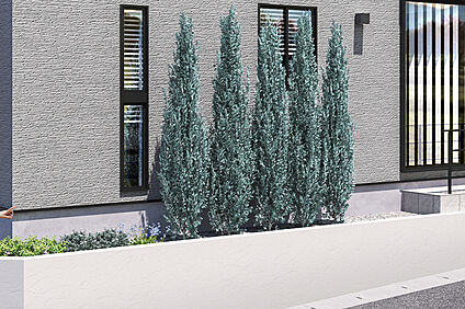 【緑豊かな植栽計画】