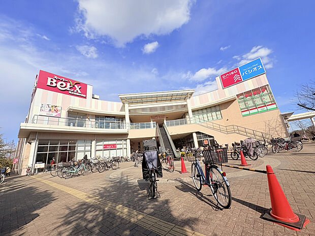 【スーパーベルクス 足立花畑中央店】（約985m）