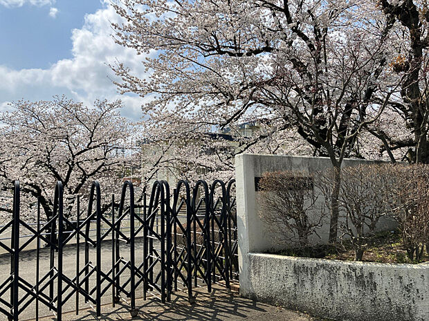 市立椚田中学校（約1,300m）