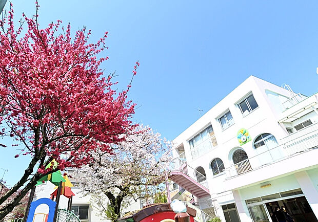 練馬白菊幼稚園（約443m）