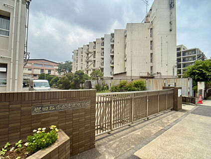 世田谷区立千歳台中学校 480m