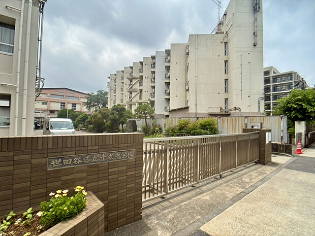 世田谷区立千歳台中学校（約480m）