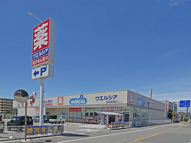 ウエルシア加古稲美店(約220m)