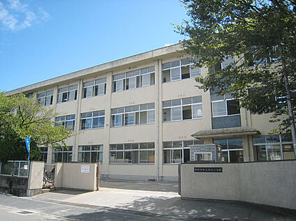 鳩里小学校 980ｍ(徒歩約12分)