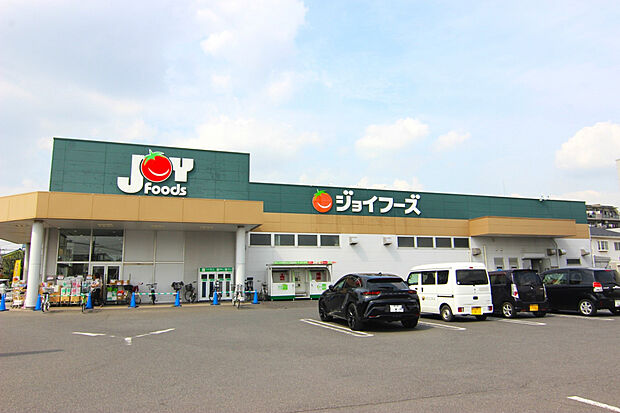 ジョイフーズ越谷大袋店（約650m）