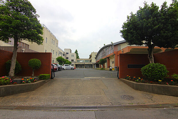 黒浜西小学校（約800m）