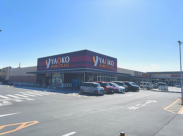 ヤオコー加須店・ダイソー加須店（約450m）