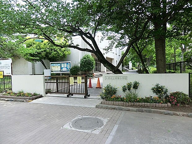 青葉小学校（約1,500m）