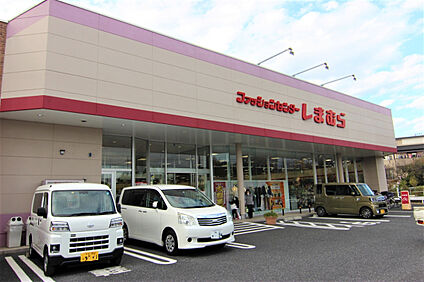 ファッションセンターしまむら白岡店 1100m