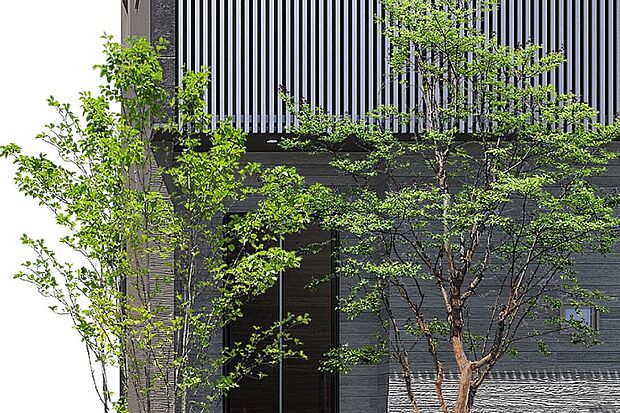 【【植栽計画】】シンボルツリーとなる高木から足元を美しく飾る下草まで多彩な植栽が街並みに彩りを添えます。