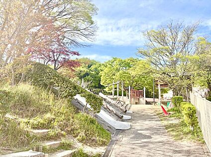 金城学院幼稚園 1233m(徒歩16分)