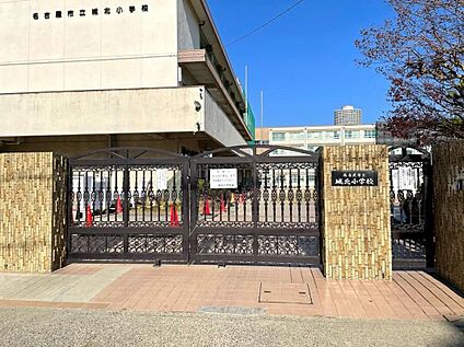 名古屋市立城北小学校 555m(徒歩7分)