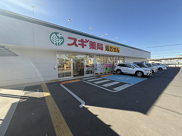 スギドラッグ清瀬旭が丘店（約1,200m）