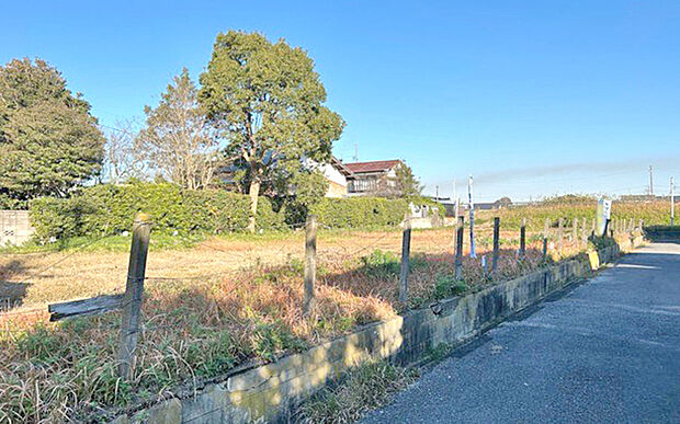 現地写真：更地