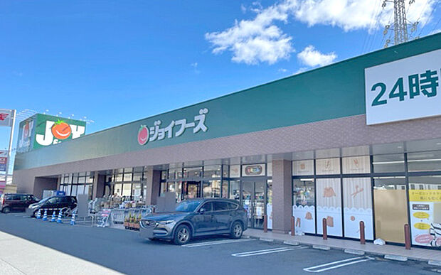 ジョイフーズ高崎上佐野店（約350m）