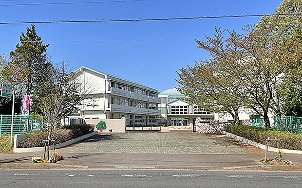 大井沢小学校（約380m）