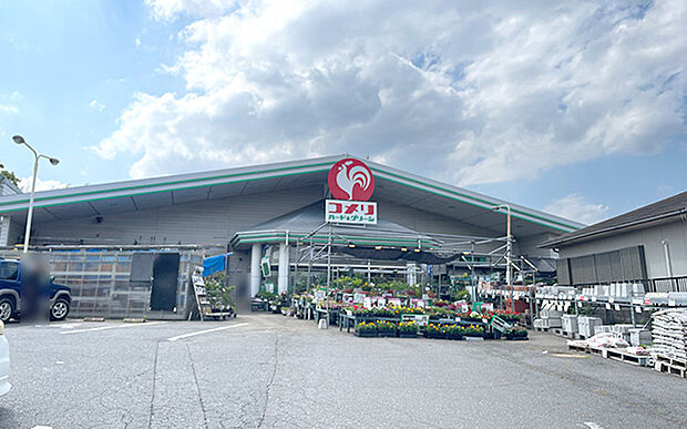 コメリ（約430m）