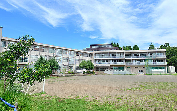 市立飯小学校(約900m)
