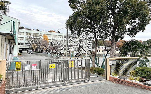 都岡中学校（約3,100m）