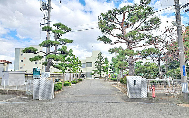 新潟市立亀田中学校(約1,400m)